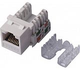 UTP Cat6 keystone jack  620029