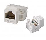 UTP Cat5e keystone jack  620043