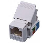 UTP Cat6 keystone jack  620051