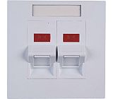 Face plate 2 port 630091