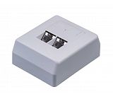 STP Cat6 Face plate 2 port 630206